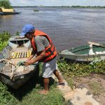 pescadores pesca  río  paraguay
