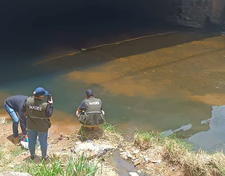 Ministerio del Ambiente verifica mortandad de peces en arroyo Lambaré
