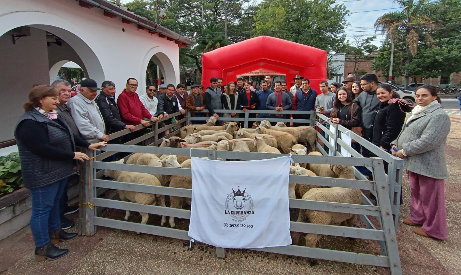 Lanzan proyecto «Ñeembucú Produce», un impulso a la ganadería ovina en la región