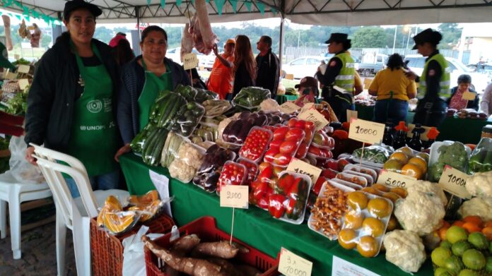 Familias de tres departamentos ofrecen productos agrícolas sin intermediarios en San Lorenzo